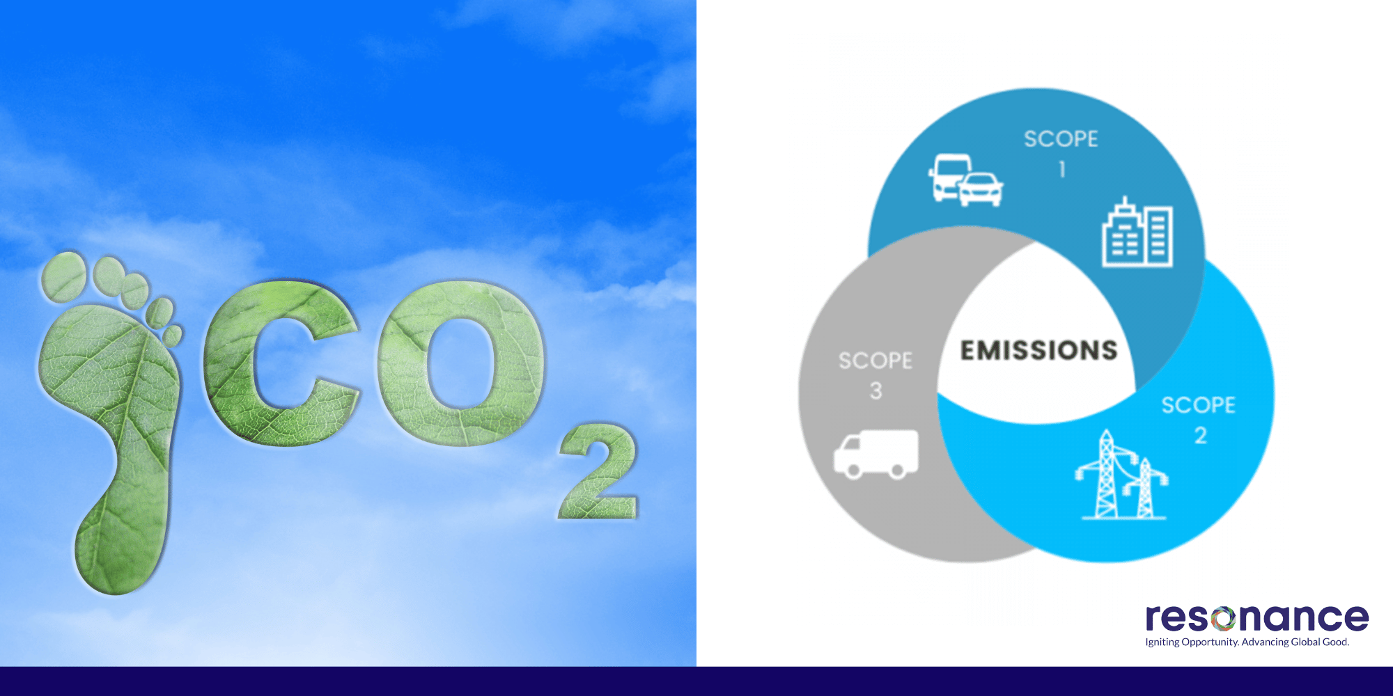 Carbon Insetting Vs Offsetting: A Primer For Sustainability Leaders